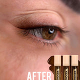 Biotek Hybrid Long Lasting Brow Pigment Kit