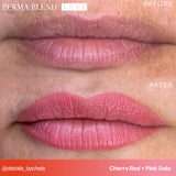 Perma Blend - Luxe Pigments - Pink Gala
