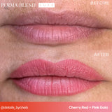 Perma Blend - Luxe Pigments - Cherry Red