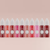 MARA Pro Lip Pigments Set 10 x 15ml