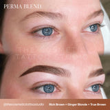 Perma Blend Sun Kissed Pallette 8 Colour Set