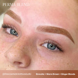 Perma Blend Sun Kissed Pallette 8 Colour Set