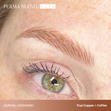 Perma Blend Luxe - Coffee