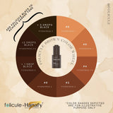 Folicule X Hanafy Brown SMP Pigment