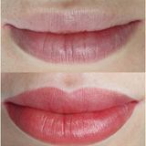 Perma Blend - Evenflo Lip Box Set