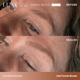 Perma Blend Luxe Lite Forest Brown Pigment
