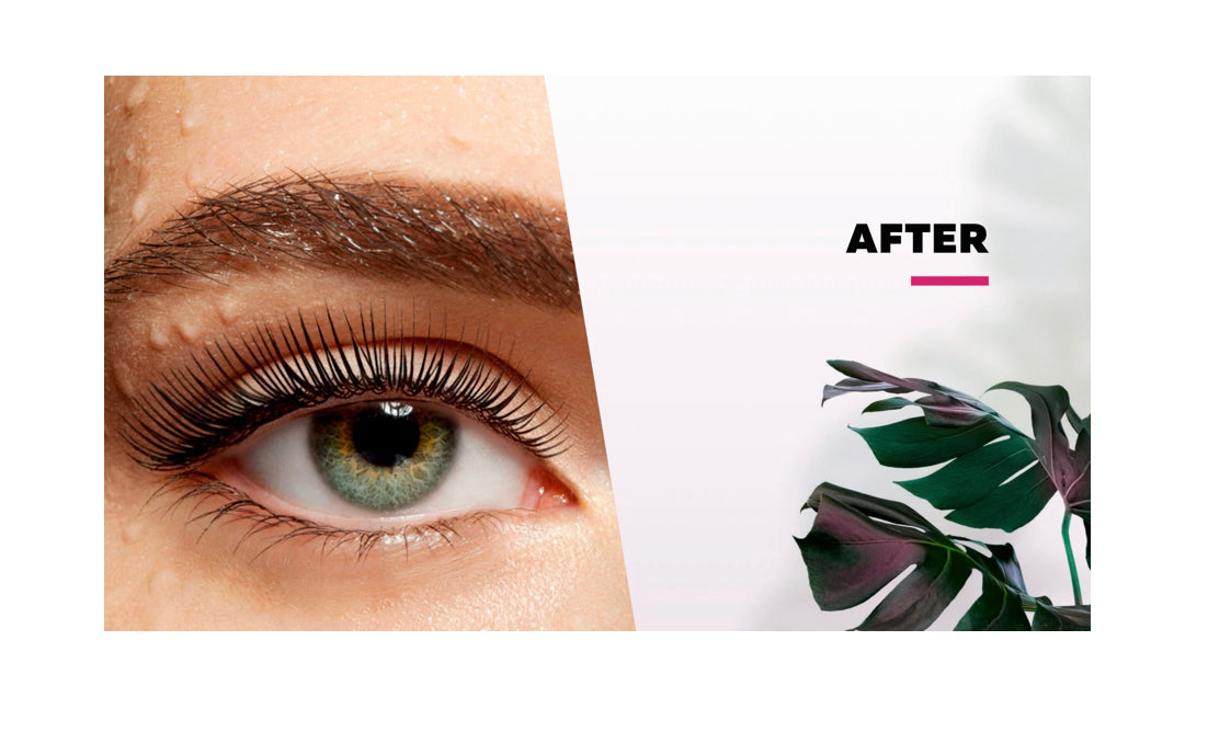 MAYAMY LASH LAMINATION KIT
